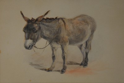 Lot 292 - English School, 19th century, Donkey