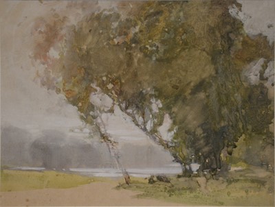 Lot 358 - Sunderland Rollinson, five watercolours