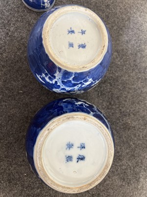 Lot 18 - Quantity of Chinese blue and white prunus ginger jars