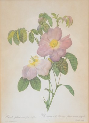 Lot 597 - After Redoute, five floral prints