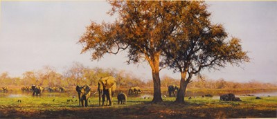 Lot 311 - David Shepherd, two signed Limited Edition prints.