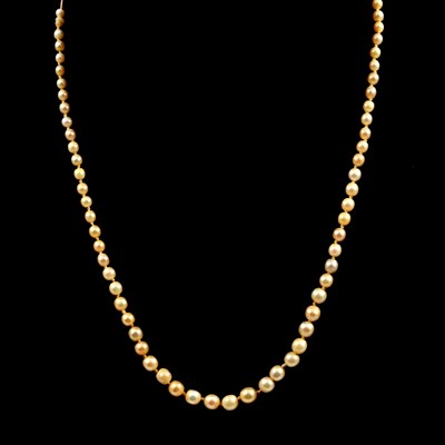 Lot 116A - A pearl necklace set with two stone diamond clasp.