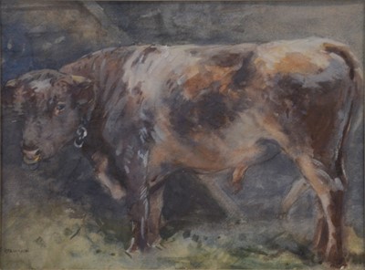 Lot 285 - John Atkinson, Bull