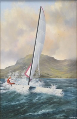 Lot 310 - Geoffrey R Herickx,  Catamaran