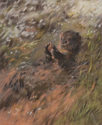 Lot 340 - Denis Booth, four pastel drawings of British wildlife