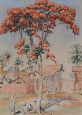 Lot 344 - English School, Gold mohur tree