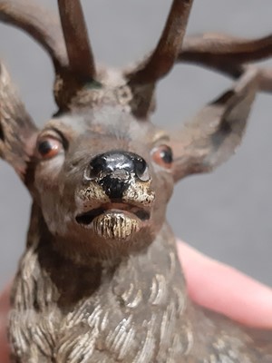 Lot 94 - Austrian cold painted bronze model of a stag