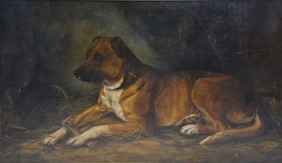 Lot 177 - English School, Dog portrait