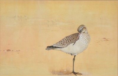 Lot 282 - John Lewis Fitzgerald, Bar-tailed Godwit