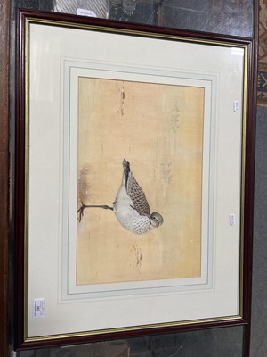Lot 282 - John Lewis Fitzgerald, Bar-tailed Godwit