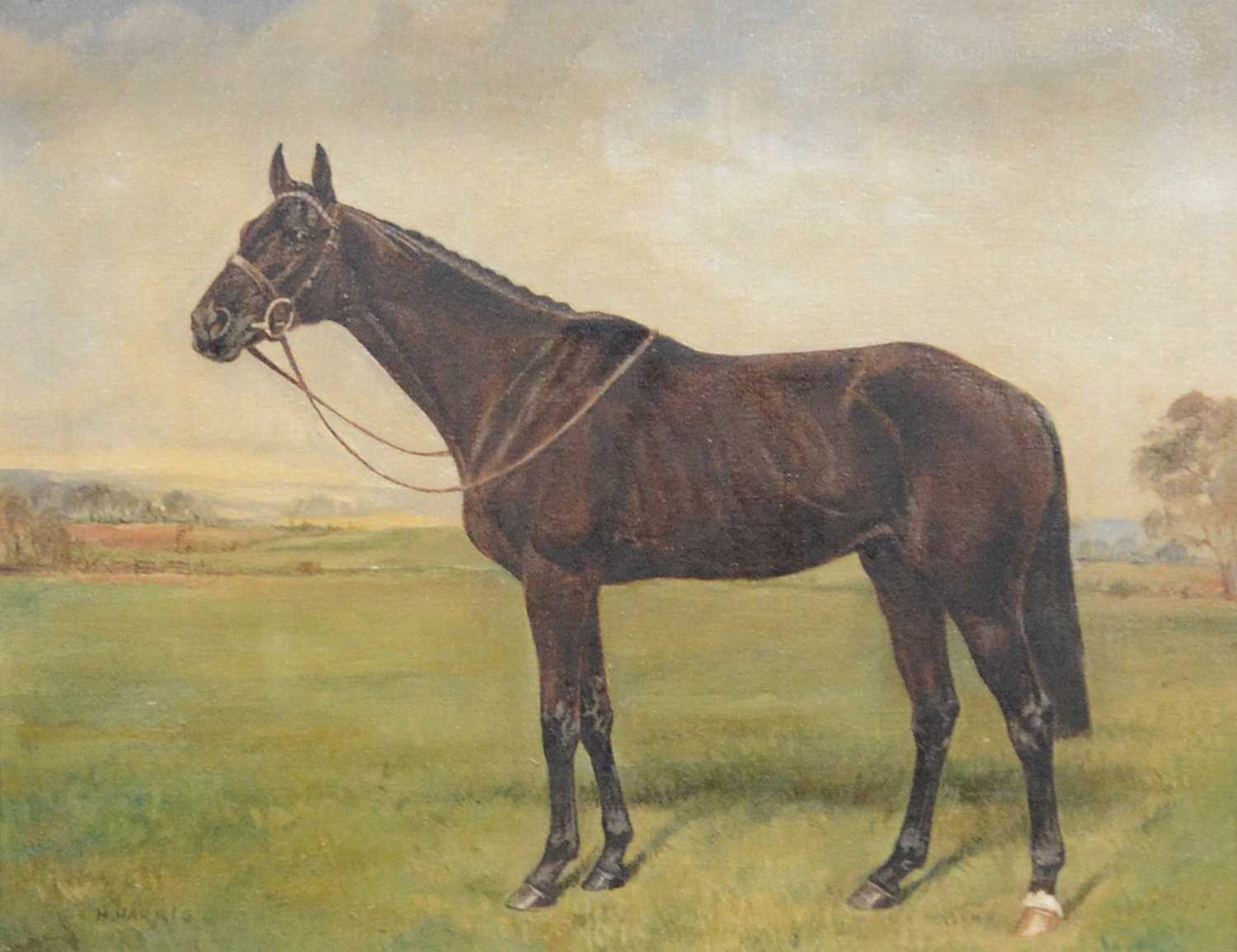 Lot 370 - H Harris, Race horse