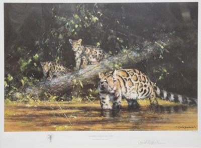 Lot 353 - David Shepherd, Clouded Leopard and Cubs