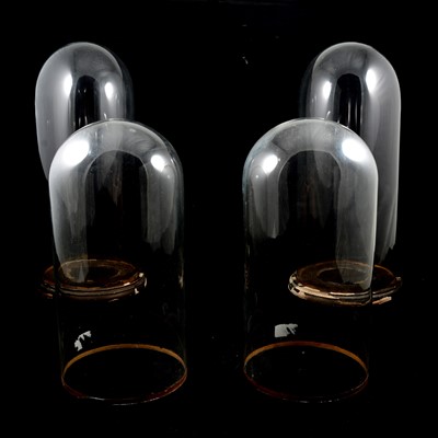 Lot 37 - Two pairs of glass domes