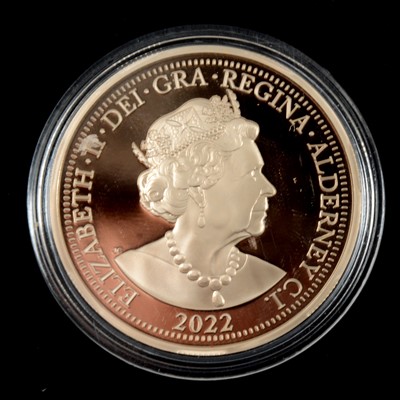 Lot 255 - An Elizabeth II Her Majesty's Graces Gold £5 coin.