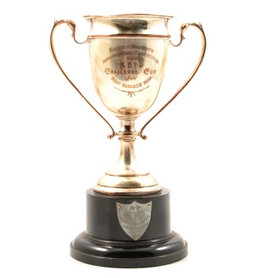 Lot 290 - Silver Trophy cup