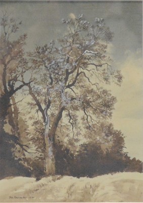 Lot 239 - Peter Newcombe, Winter tree study