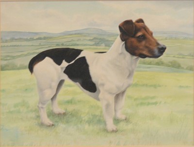 Lot 293 - Julie Brenan, Lurcher and whippet and two other paintings