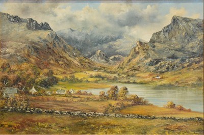 Lot 276 - Gwyn Tomos, Dyffruw Nantlle