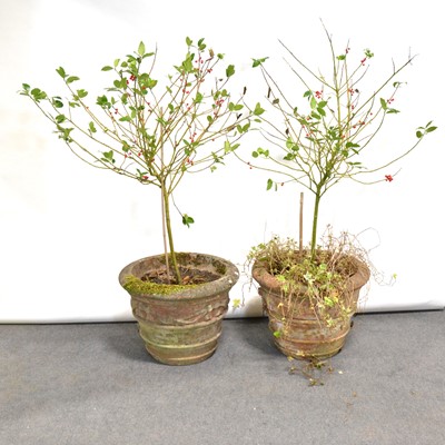 Lot 431 - Pair of Haddonstone style garden planters