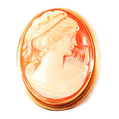 Lot 238 - Two carved shell cameo brooches.