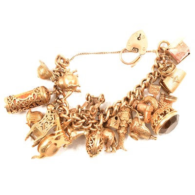 Lot 256 - A 9 carat yellow gold charm bracelet with charms.