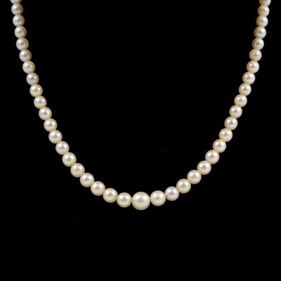 Lot 281 - A cultured pearl necklace.