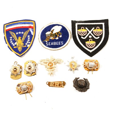 Lot 192 - Pin badges and patches some military.