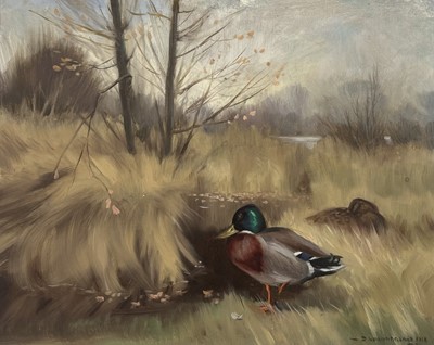 Lot 783 - Denys Watkins-Pitchford, Pair of Mallards.