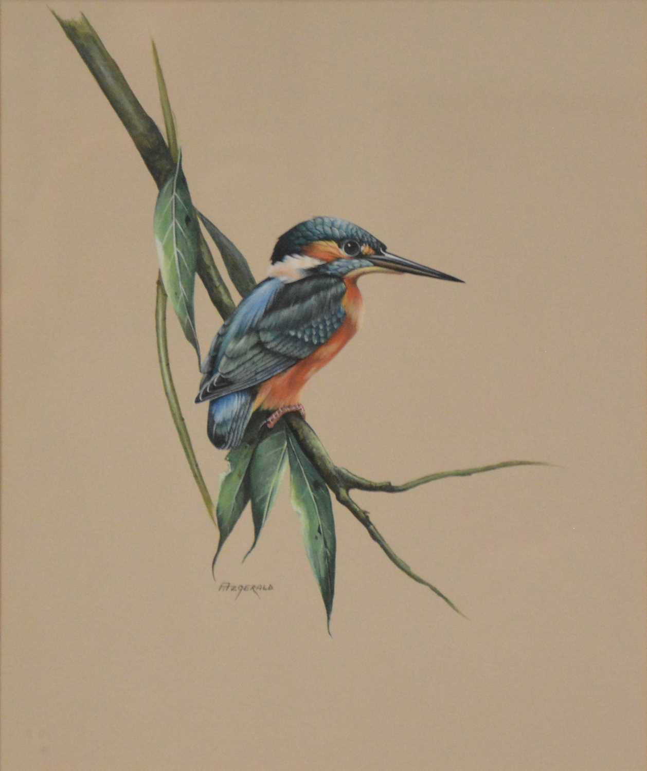 Lot 287 - John Fitzgerald, Kingfisher and another study of a bird.