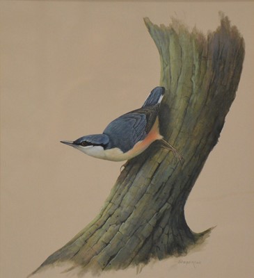 Lot 287 - John Fitzgerald, Kingfisher and another study of a bird.