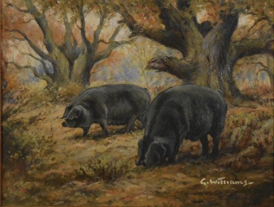 Lot 292 - G Williams, Cattle and Pigs, a pair