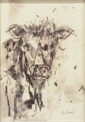 Lot 440 - Tim Steward, studies of cattle, a pair, charcoal.