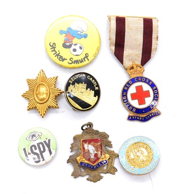 Lot 303 - Large collection of badges