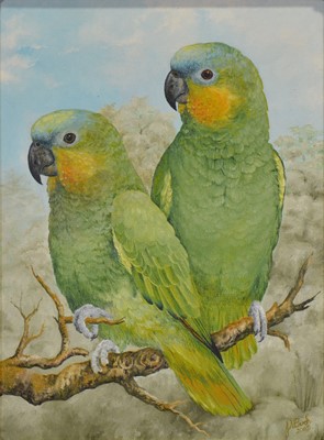 Lot 417 - J N Birch, three oil paintings of birds