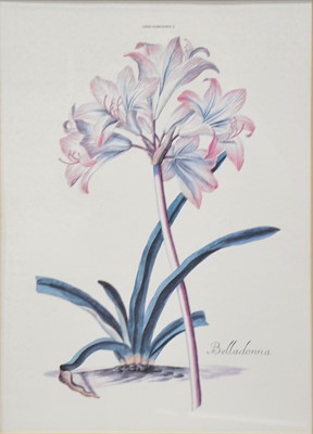 Lot 393 - Four botanical prints