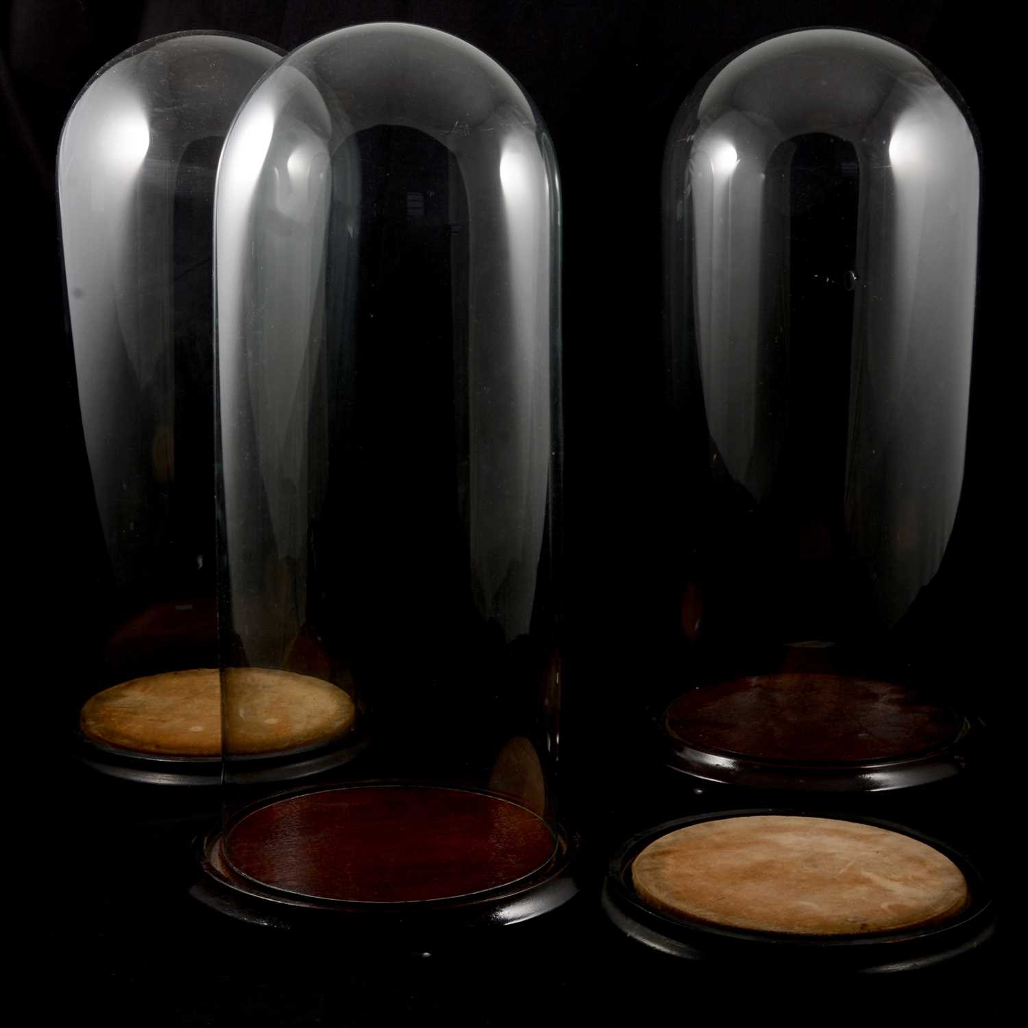 Lot 87 - Three glass clock domes, on circular wooden bases