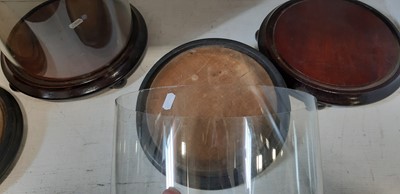 Lot 87 - Three glass clock domes, on circular wooden bases