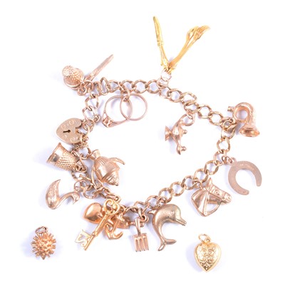 Lot 259 - A 9 carat yellow gold gold charm bracelet with charms.