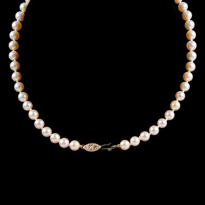 Lot 284 - A cultured pearl necklace and loose pearls.