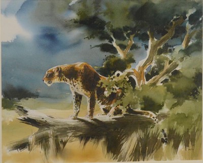 Lot 172 - Wolfgang Weber, Leopard, and a copy of Weber's Wildlife Impressions