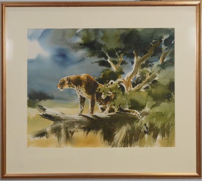 Lot 172 - Wolfgang Weber, Leopard, and a copy of Weber's Wildlife Impressions