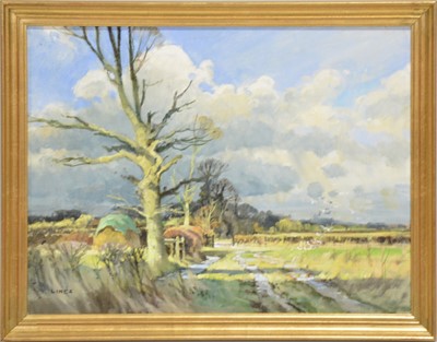 Lot 191 - John Lines, After the storm