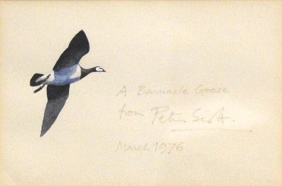 Lot 240 - Peter Scott, A Barnacle Goose.