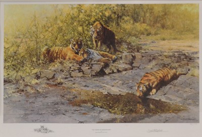 Lot 457 - David Shepherd, Tigers of Bandhavgarh.