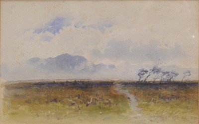 Lot 351 - Paul H. Ellis, Arthog Moor.