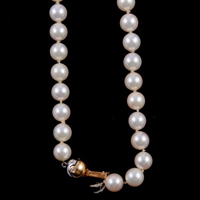 Lot 301 - A cultured pearl necklace.