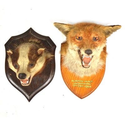 Lot 398 - Taxidermy badger's head and a red fox mask