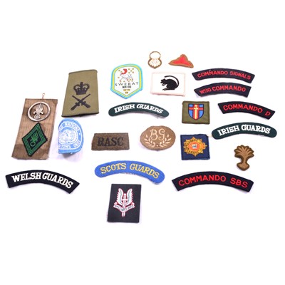 Lot 292 - Small collection of military cloth badges and titles