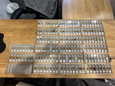 Lot 140 - Cabinet of antique insect microscope slides, collected by Stephen Oliver Taylor circa 1908/1909.